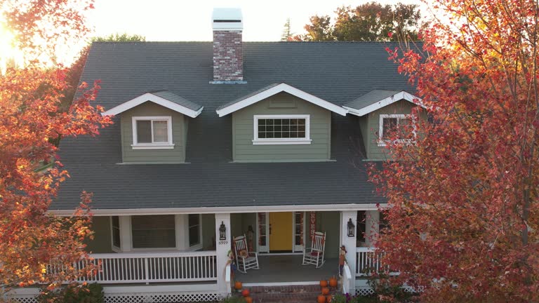 Best Roof Moss and Algae Removal  in Braselton, GA