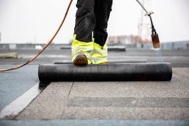 Best Gutter Installation and Repair  in Braselton, GA