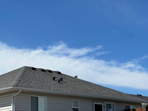 Best Slate Roofing  in Braselton, GA